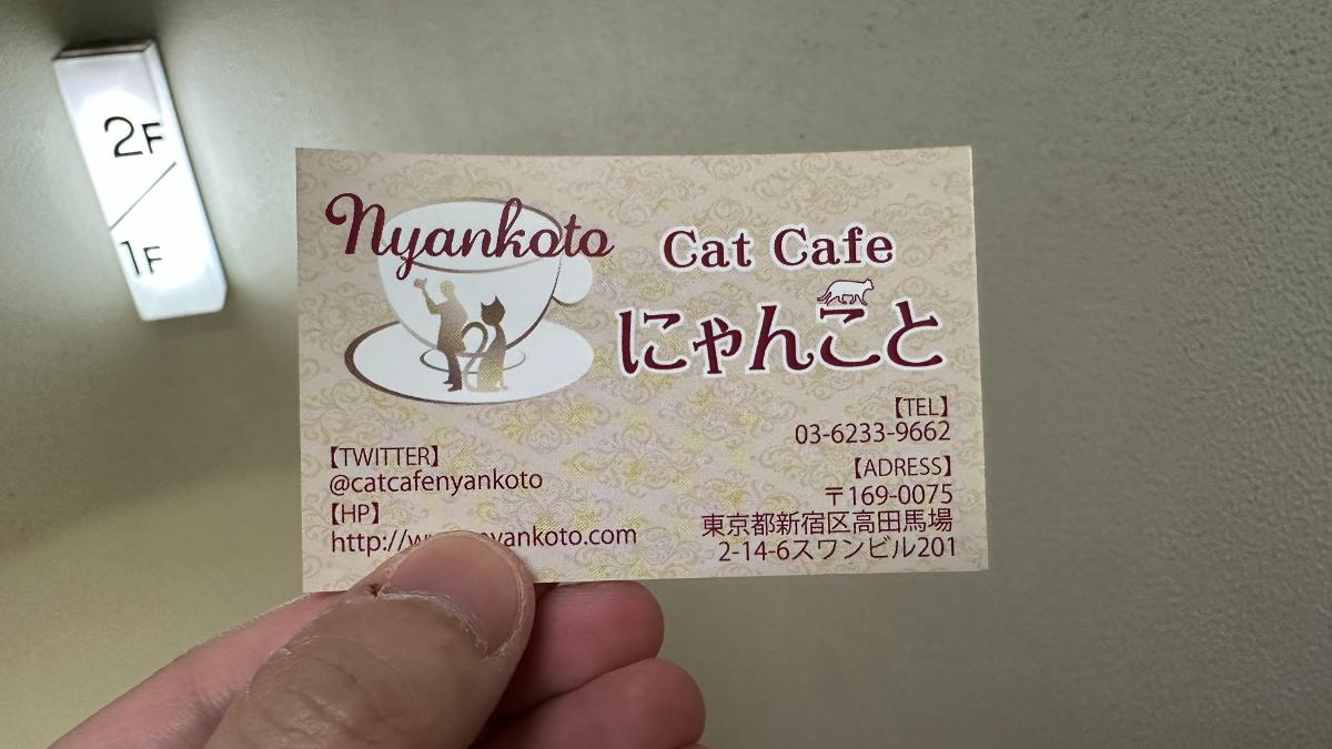 cat cafe にゃんこと