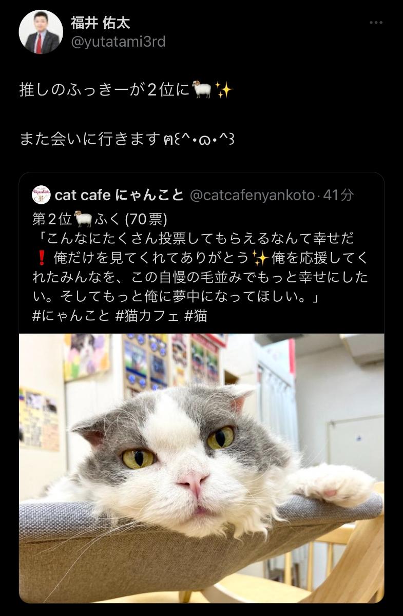 cat cafe にゃんこと ふっきー（ふく）